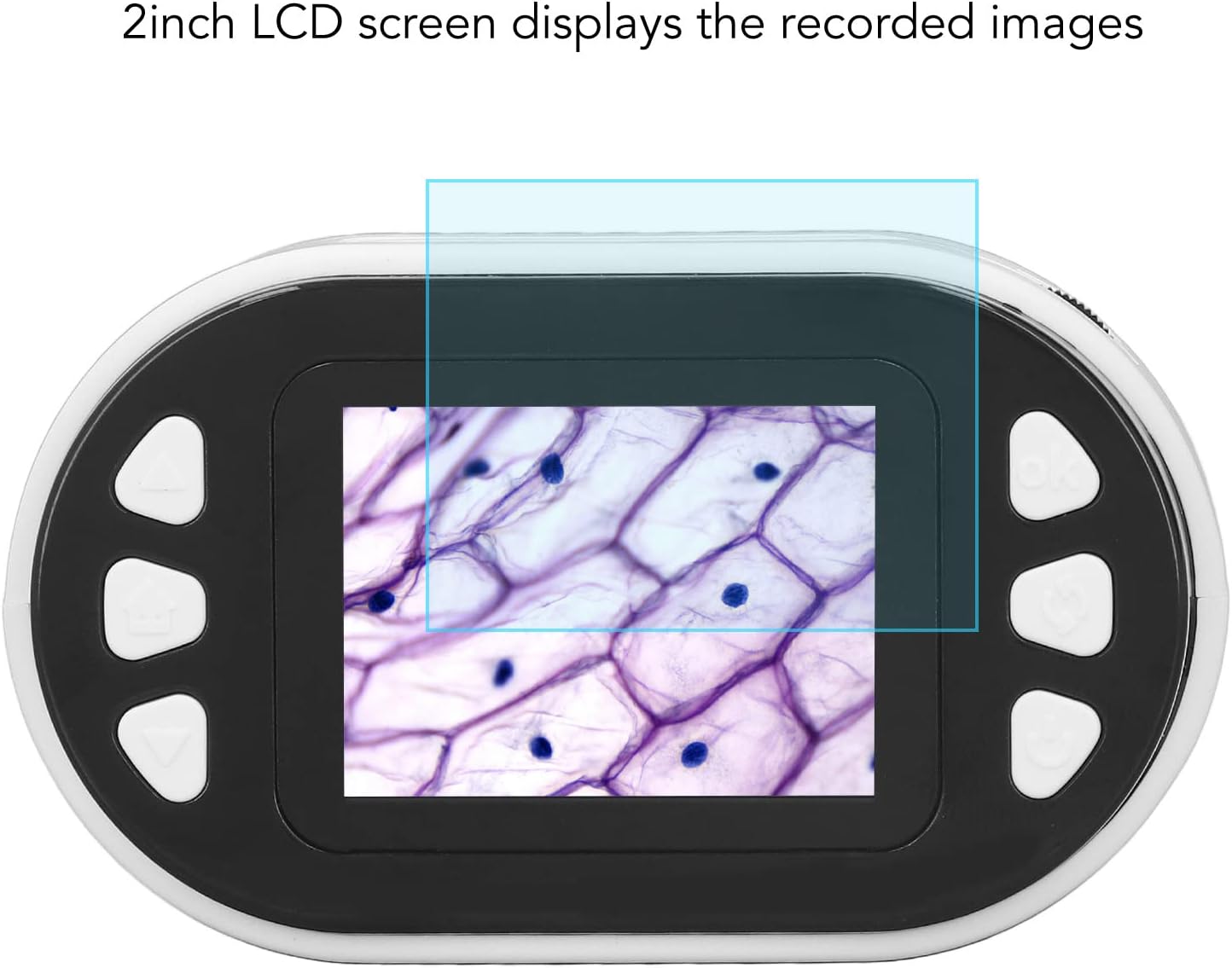 Microscopio digital y telescopio con pantalla para PC